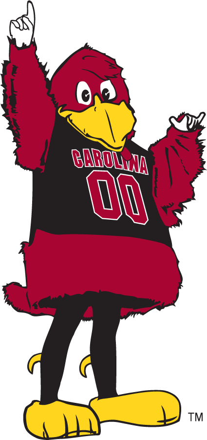 South Carolina Gamecocks 1998-2005 Mascot Logo diy iron on heat transfer